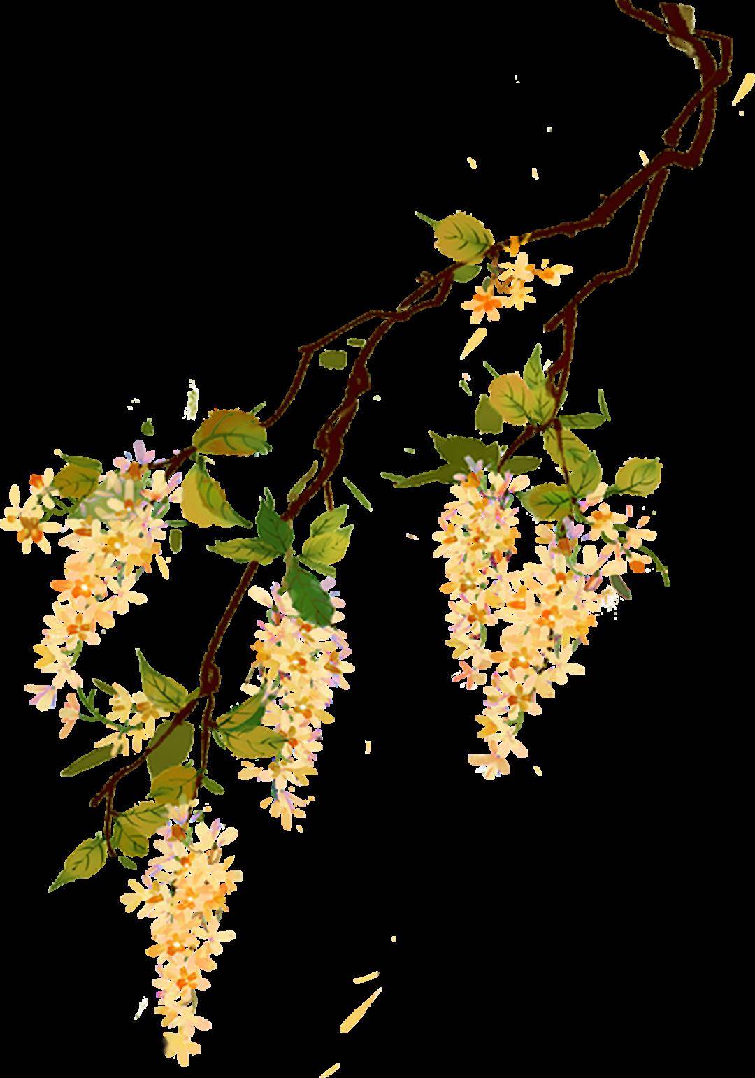 我们的节日 | 中华诗酝:愿年年,伴星球,烂游灯市_元宵_lantern_happy