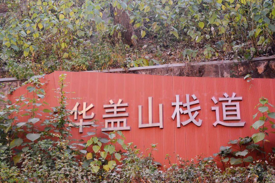 8特辑】广东千古情,约吗?_佛山_公园_栈道