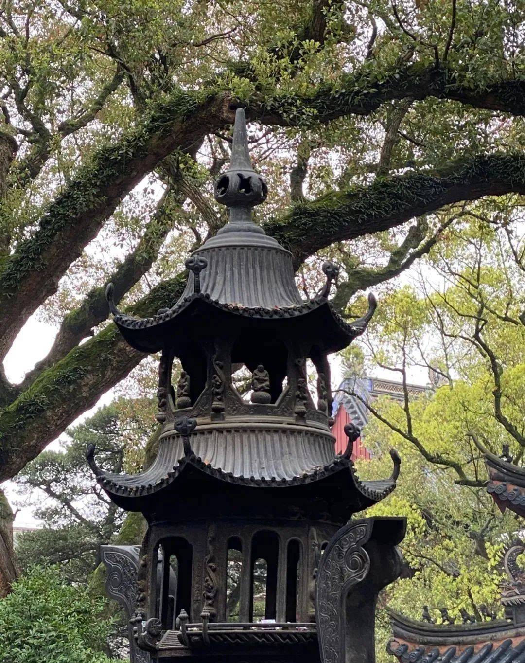 游玩攻略悄悄告诉你!_佛国_法雨_山门