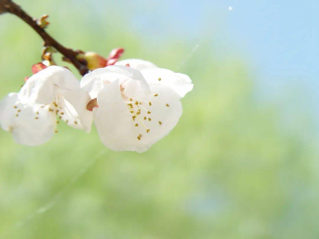 淡然于心,才优雅自在!知足常乐,才活的潇洒;终是过眼云烟,昙花一现.