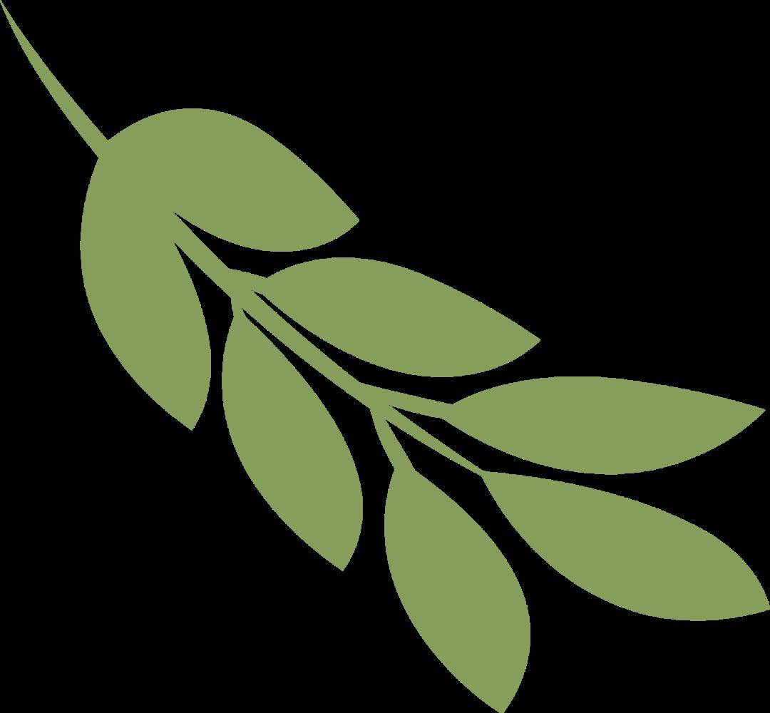 讲好南国故事 | 感恩母校行-回访汕头市东厦中学_宣传_寒宣_进行