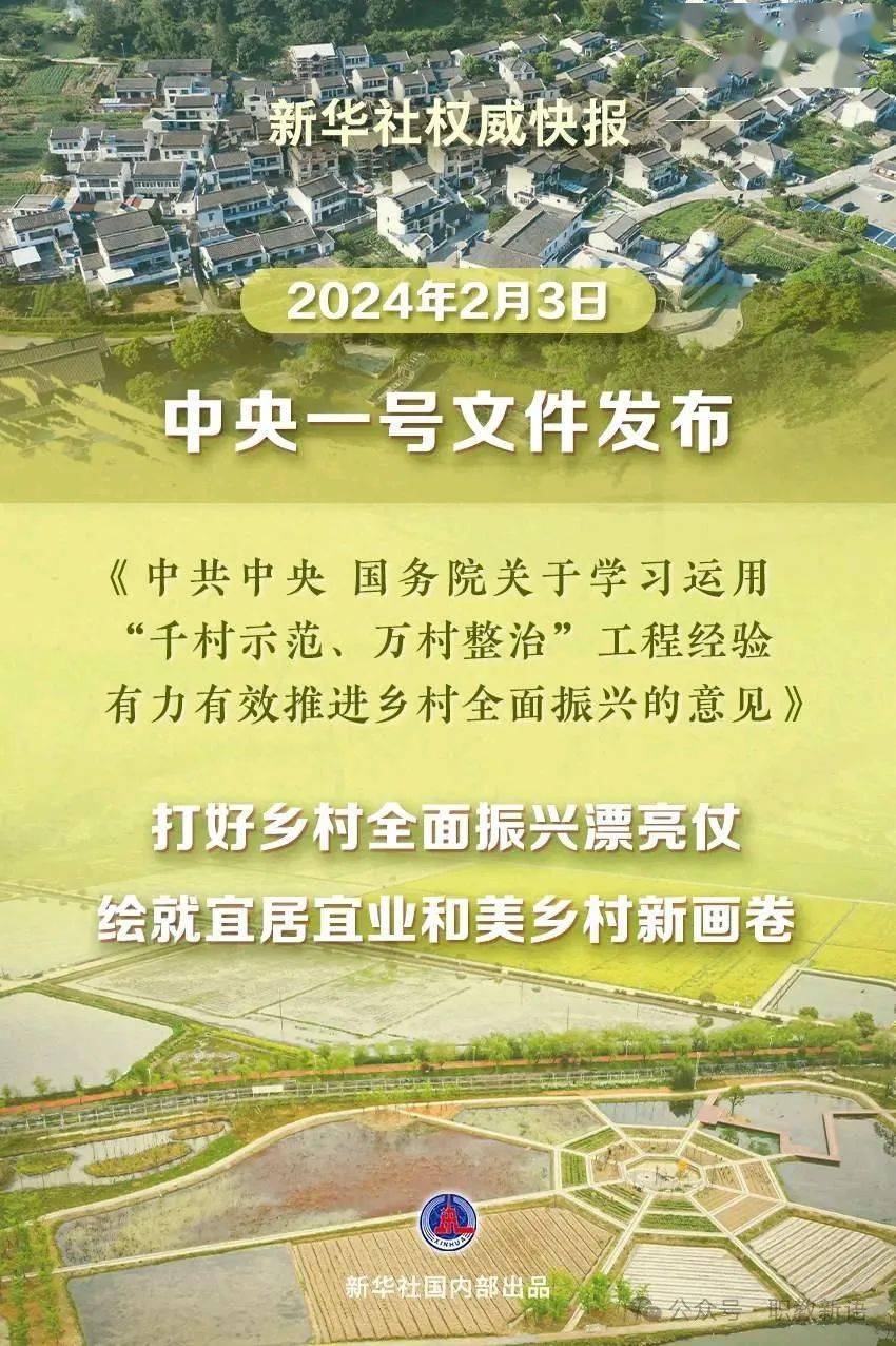 850_1276竖版 竖屏