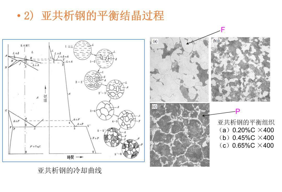 铁碳合金相图 ppt