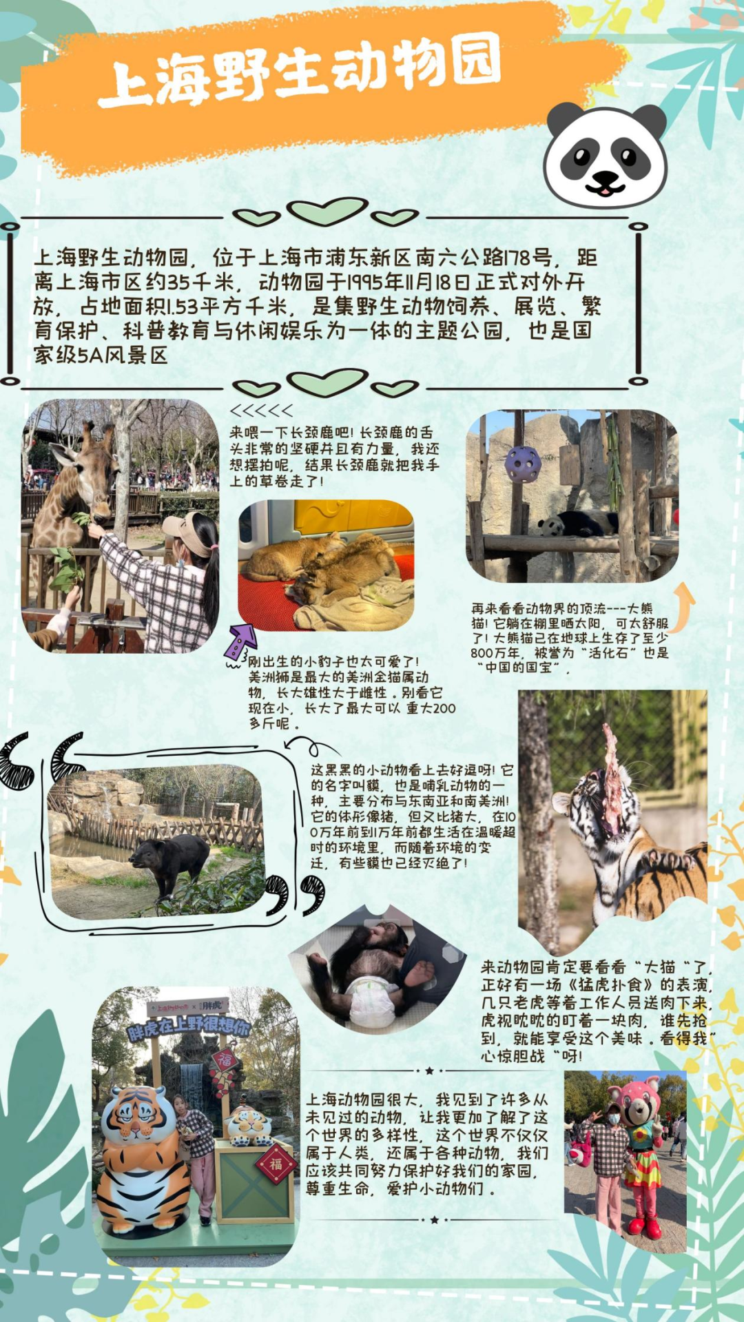 檀小学子的寒假研学日记——系列六