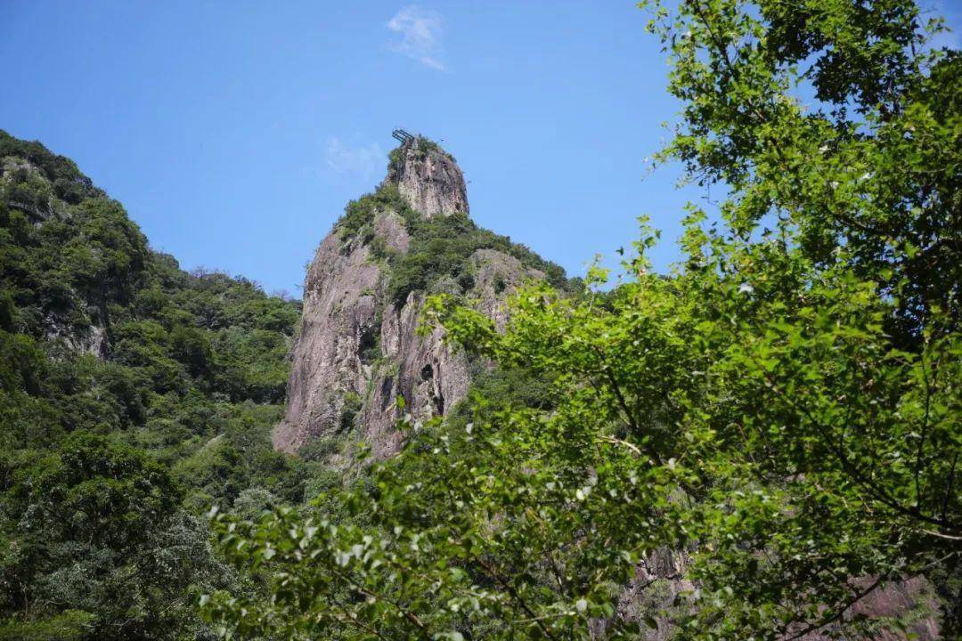 而这只是踏入疗愈之旅的第一步…静默的山林,郁郁常青,每一颗植被都