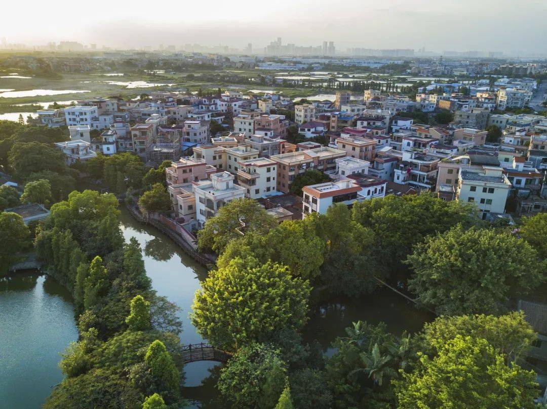 原来佛山藏着那么多"龙"_龙江镇_龙津村_顺德区