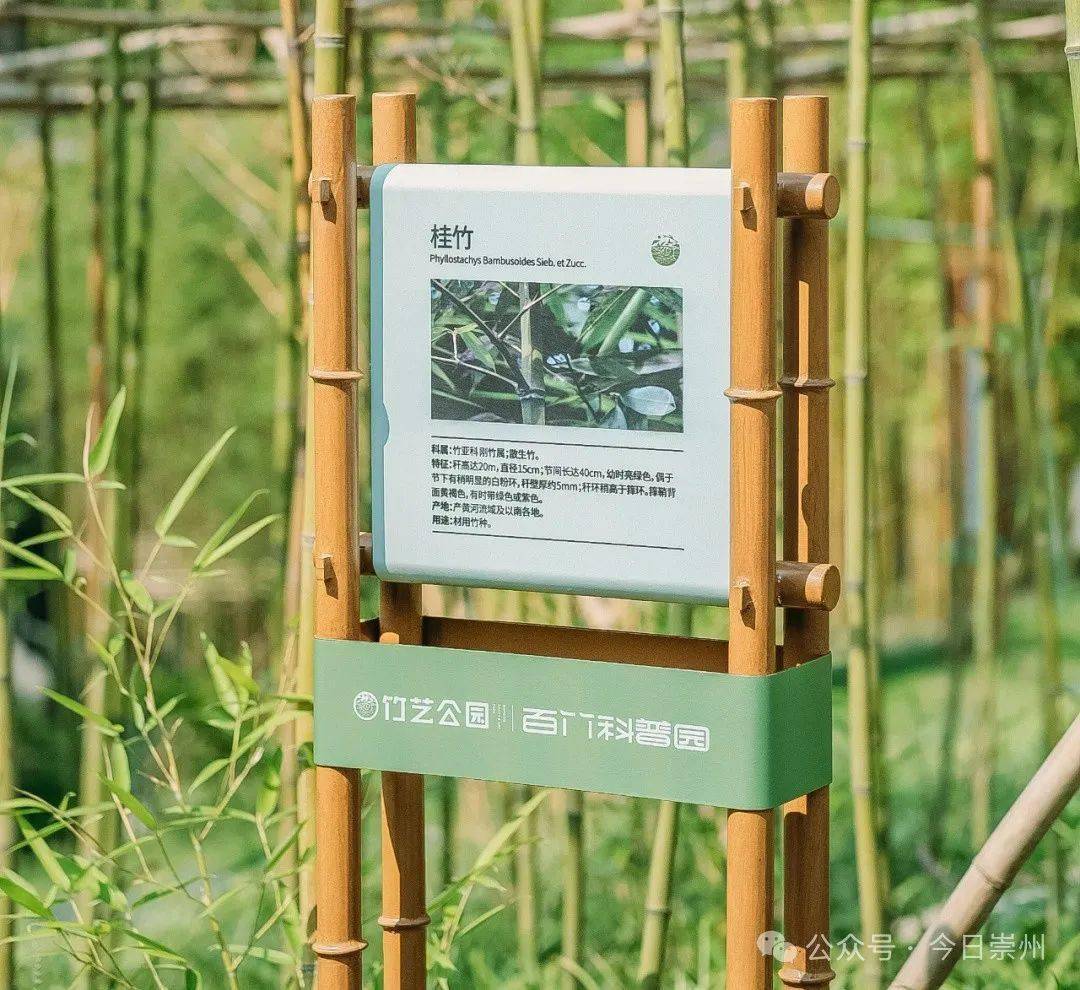 景观上百竹科普园位于形成沉浸式竹文化百竹科普体验园实现以景说竹