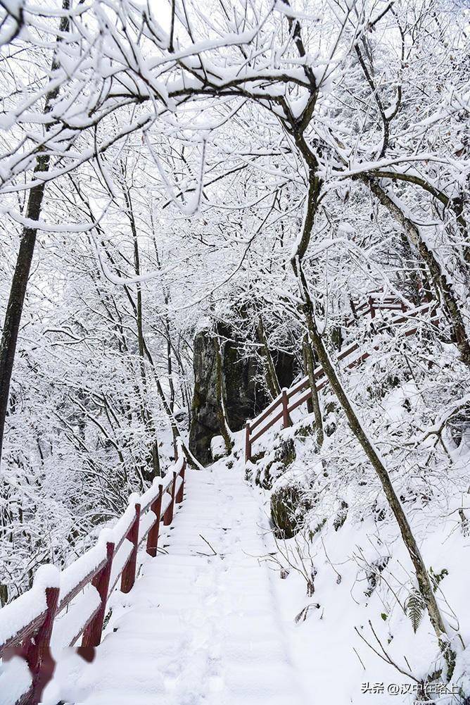 元宵节赏雪汉中大汉山_积雪_树枝_金石