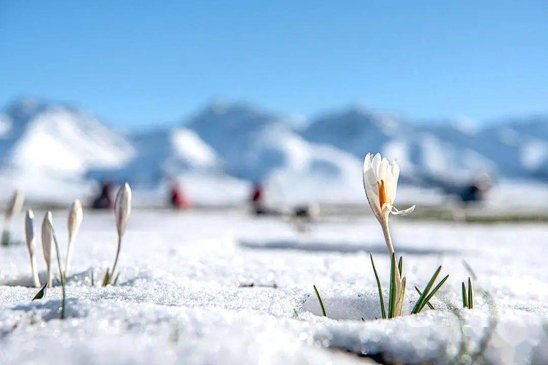 2024小车游系列 穿越探秘大海道 伊犁杏花8日_门票_全程_费用