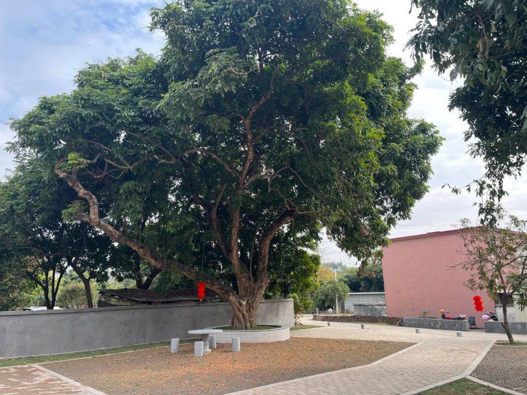 肇庆又有新公园!正式向市民开放……_休闲_怀集_口袋