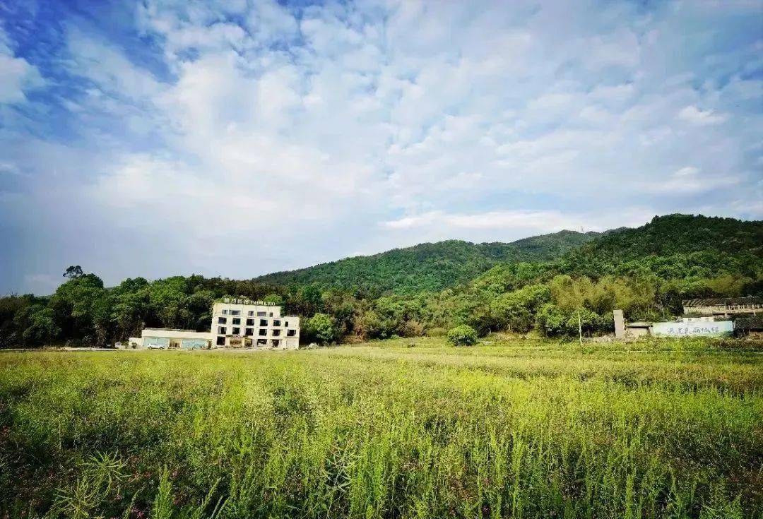 送你一份瑞安民宿游玩攻略(曹村篇)_地址_电话_山庄