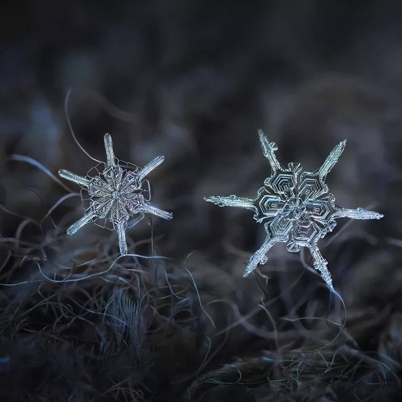 不一样的唯美雪花_作品_三角形_六边形