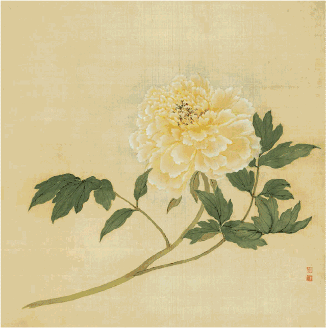 写意花鸟，出枝、画花、添叶有特别讲究_叶子_画面_花卉