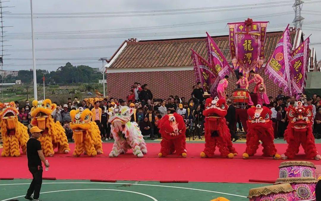 中垌镇的年例,究竟是面子工程还是一股清流?