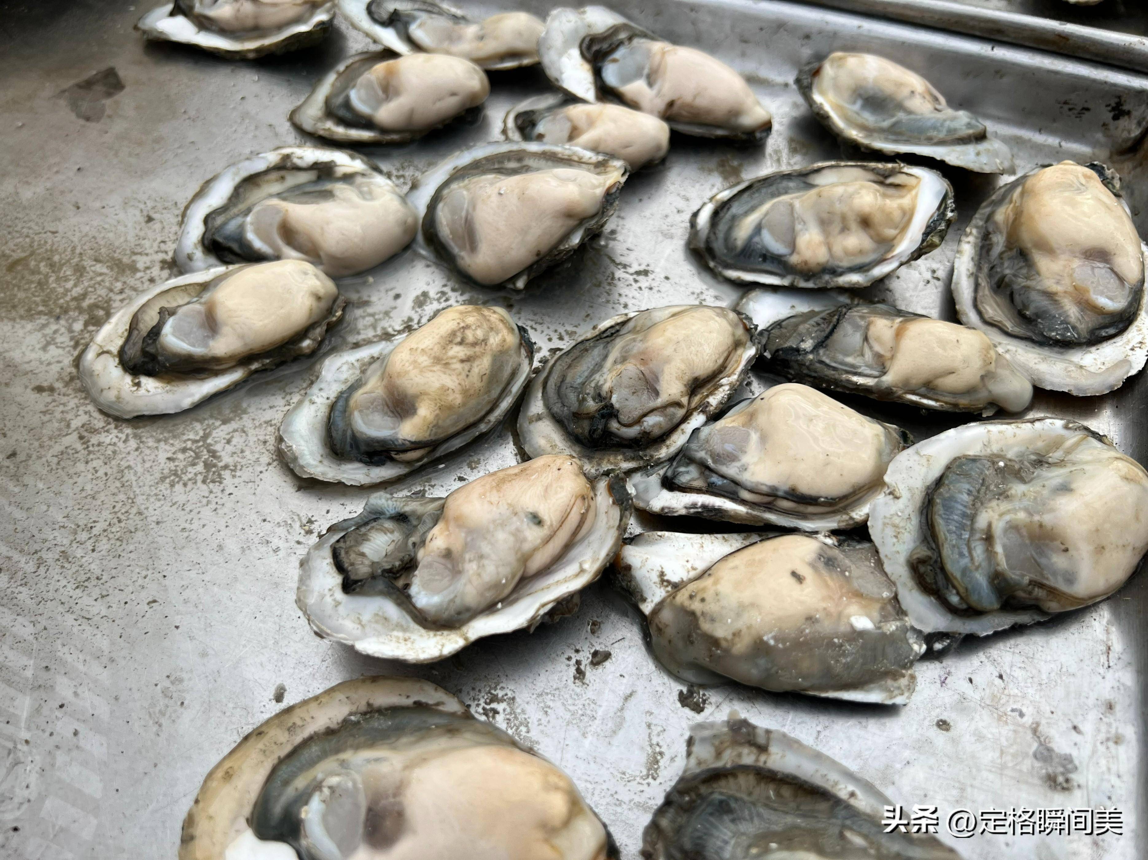 15元两斤的海货外国人敢生吃,多数人分不清南北叫