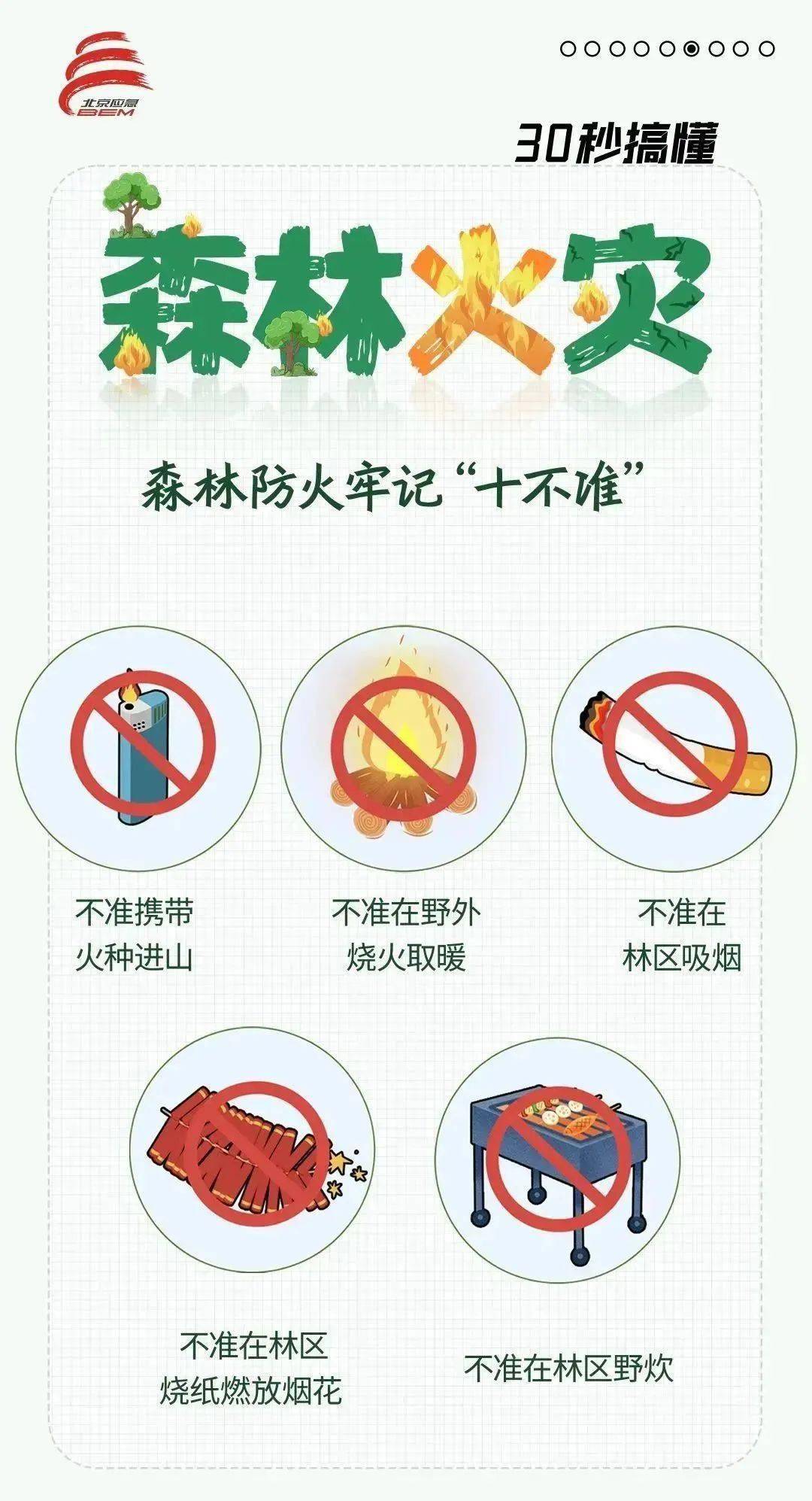 森林防火照片 五年级图片