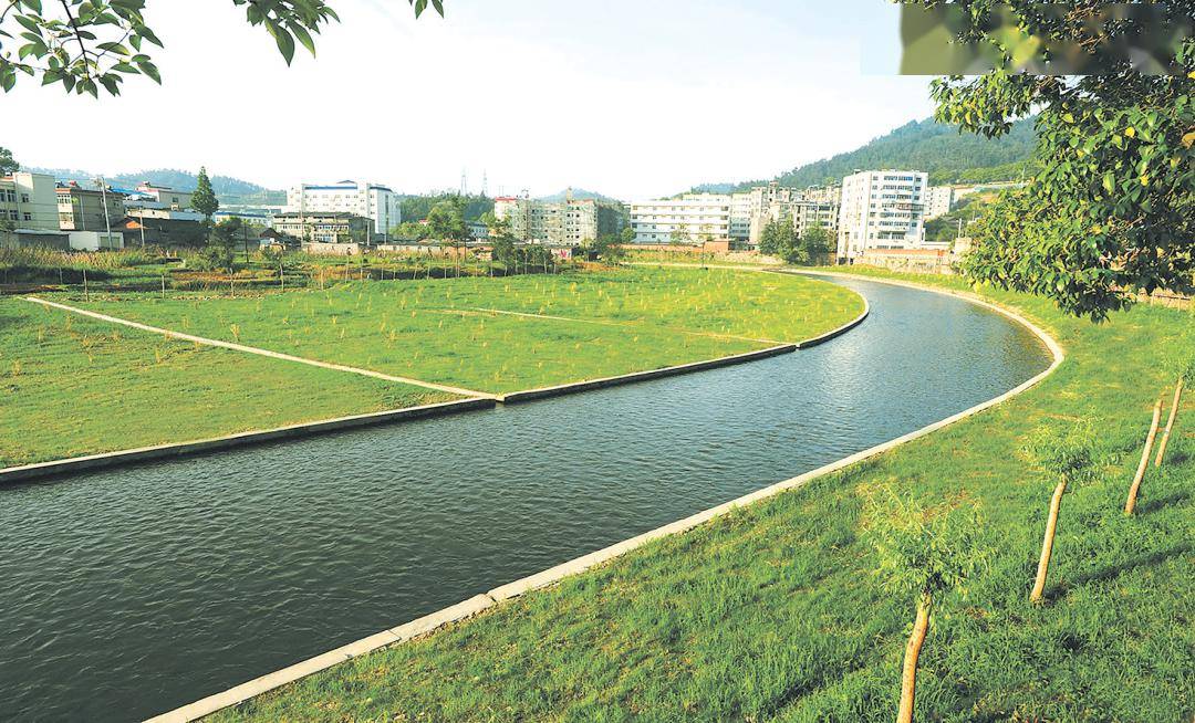 市河湖长制办公室:守护"一泓碧水" 抓好"天大的事"_工作_十堰市_全市