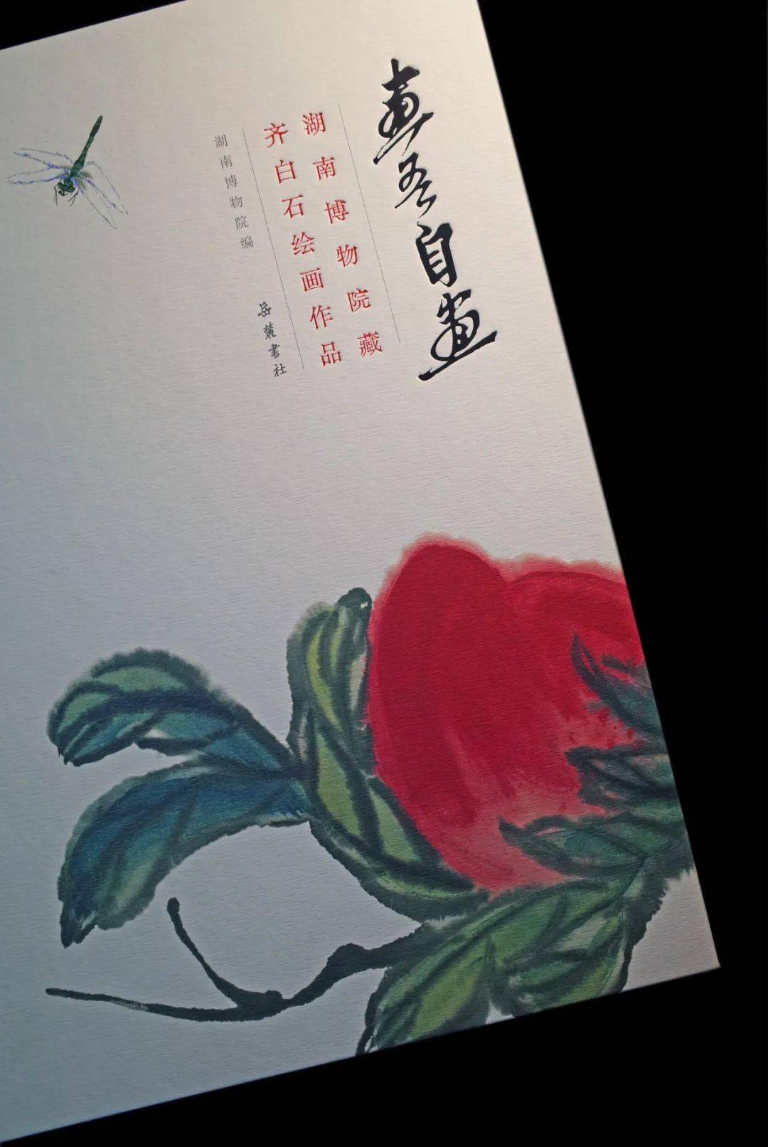 (变法期1919—1928)""少年无此好红颜(鼎盛期1929—1948)""一花一叶扫