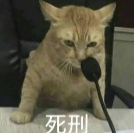 奇奇怪怪的表情包_微信_方法_相册