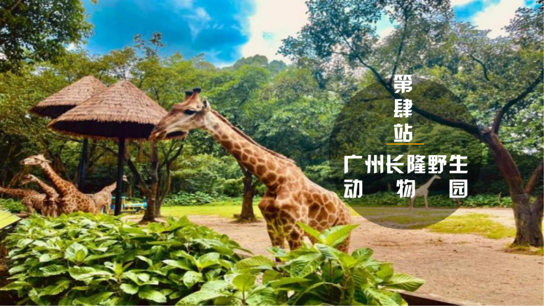檀小学子的寒假研学日记——系列八_宸源_班娄_班林珂