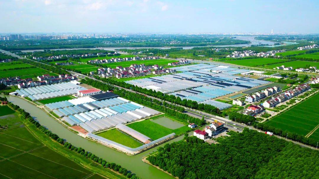 空气,水源家绿草莓生长在黄浦江边家绿生态农场地址:松江区泖港镇五厍