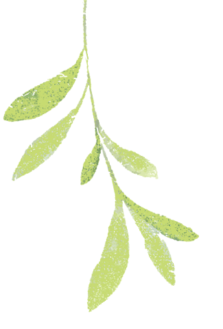 【光明61新视听】振奋龙马精神 塑造光明素养