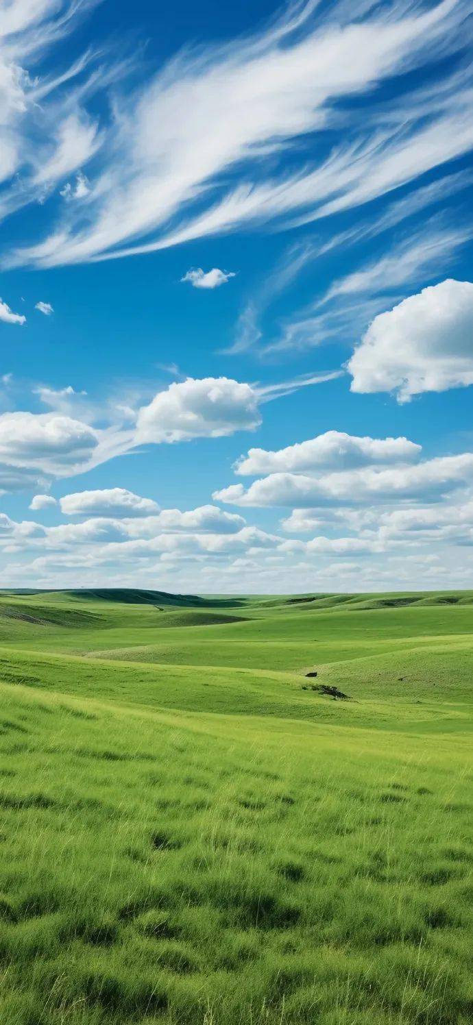 壁纸 | 676767值得尝试的锁屏壁纸 676767