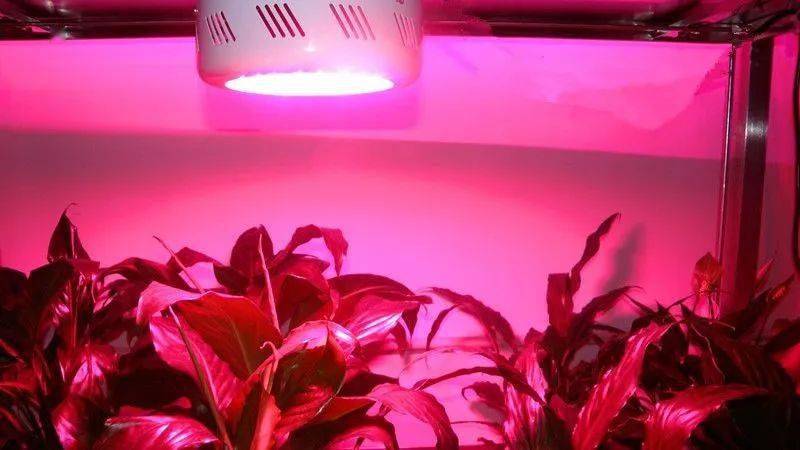 产品_照片_抽检