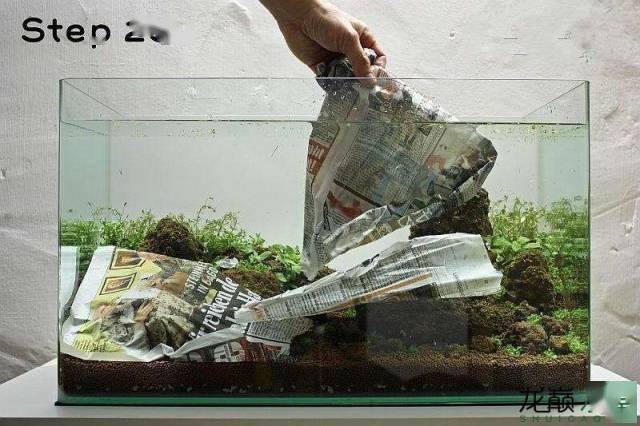 21步完成开缸,精确指导草缸小白入坑_水草_种植_造景