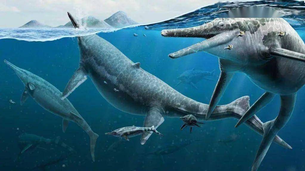 化石_来自_网络