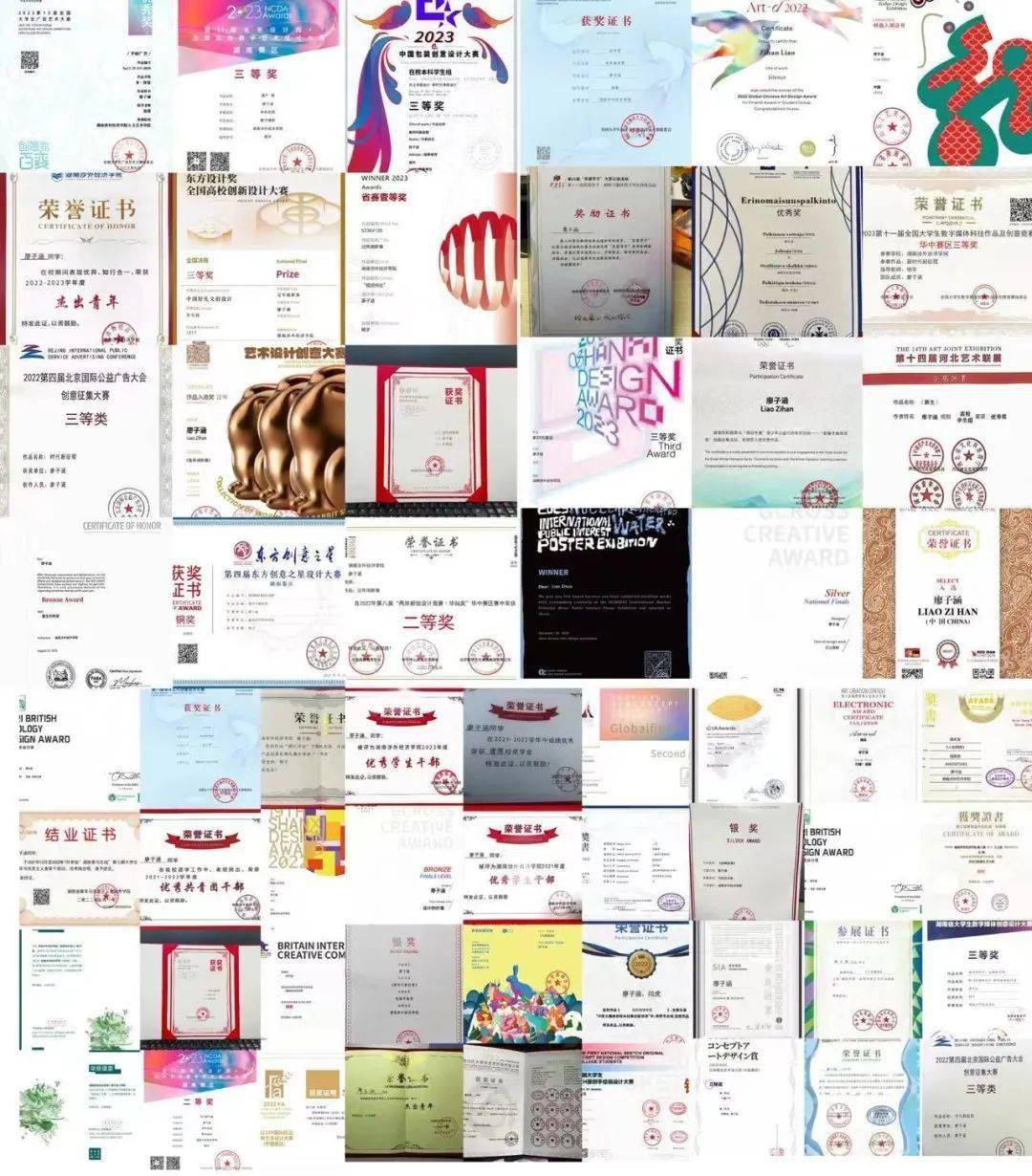 "芙蓉学子"廖子涵:以赛为马,逐梦未来_大赛_设计奖_成就