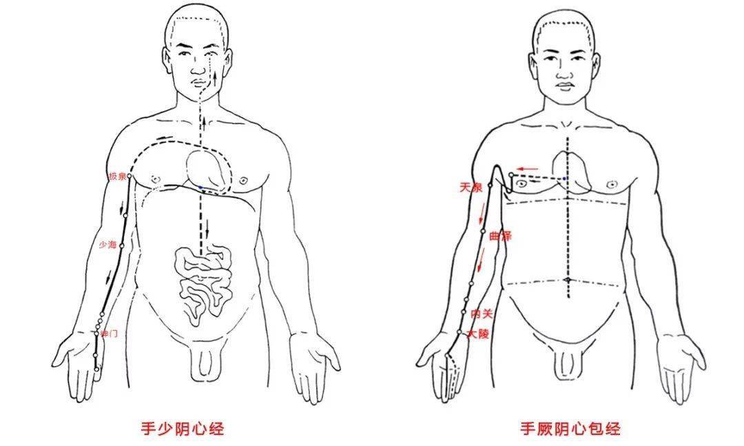 下肢刮痧经络走向图图片