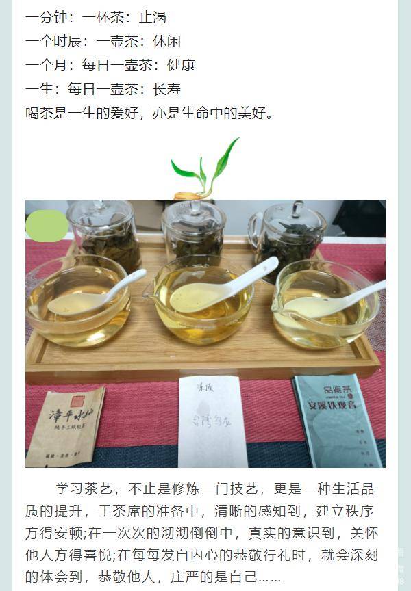 2024年宁化县第一期茶艺师培训即将开班!_失业_人员_补贴