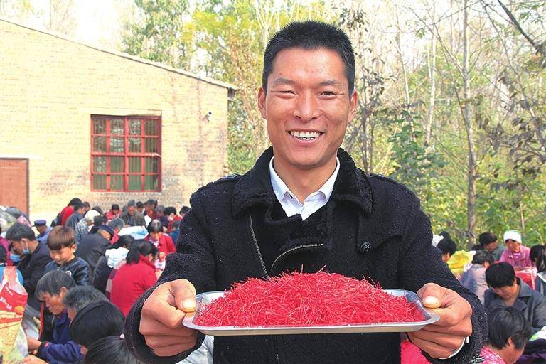 建设中医药强省正当时_种植_永城_中药材