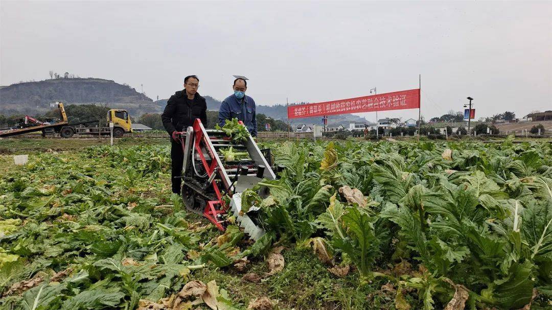 百度快速收录和普通收录_增加百度收录_如何加快百度收录