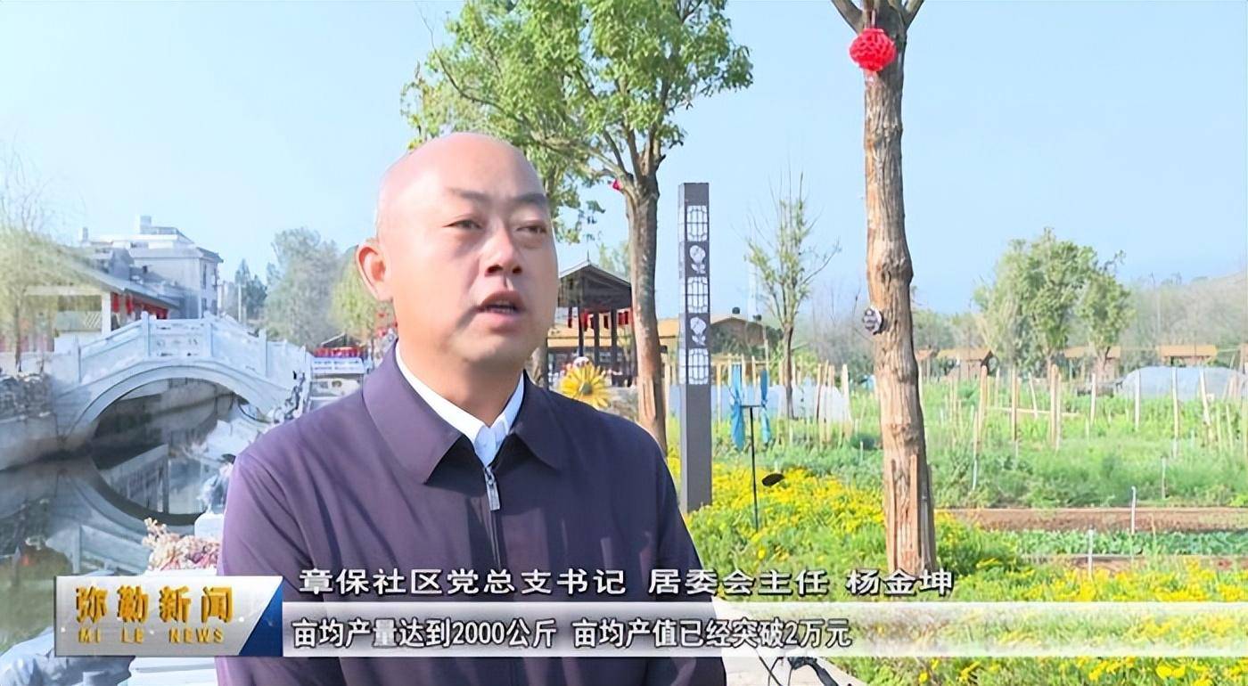 培育"一朵花" 振兴一个村_玫瑰_发展_产业