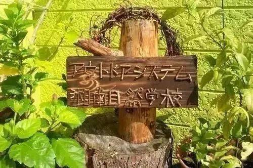 图片:日本whole earth自然学校丨来源:网络公开whole earth自然学校
