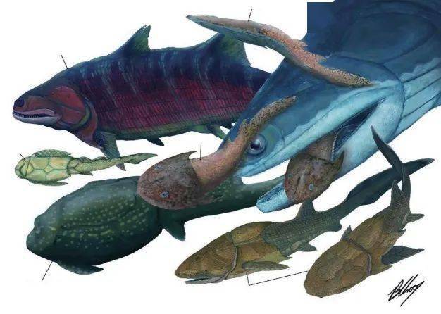 云南此处有神鱼,比恐龙还古老!_曲靖_动物_生物