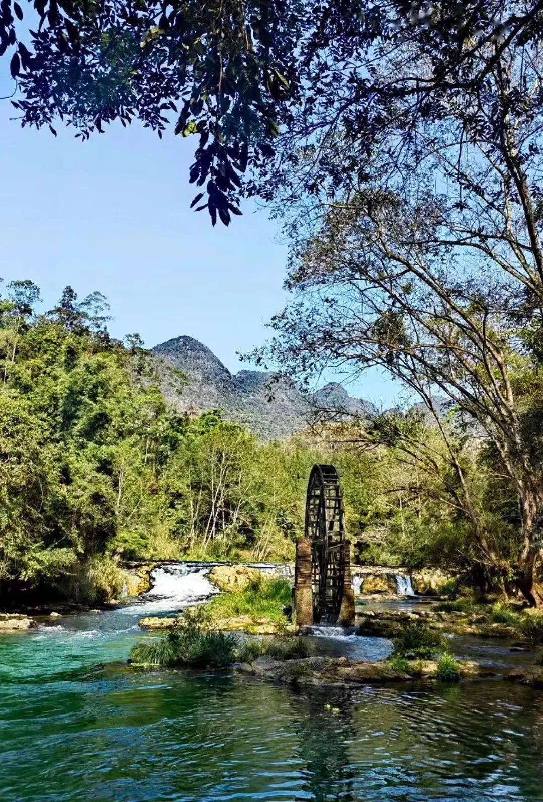 曲靖_油菜花_瀑布群