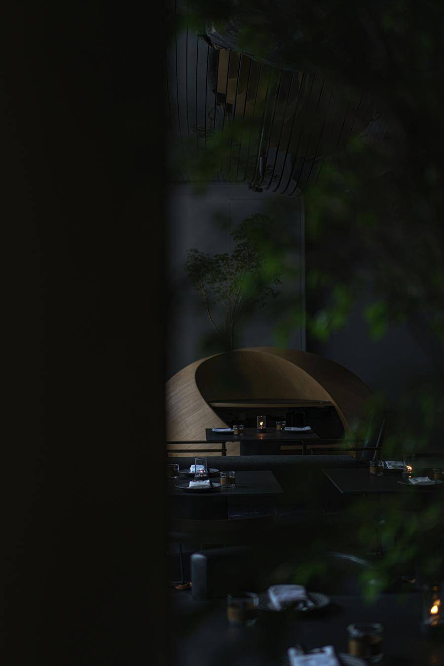 定格 / 琥珀里的时间framing / time in amber微醺的人与历史的距离