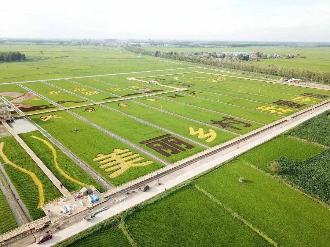 影响_作物_发展