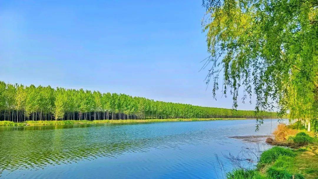 美好泗县 水运芳华 汴水晴波