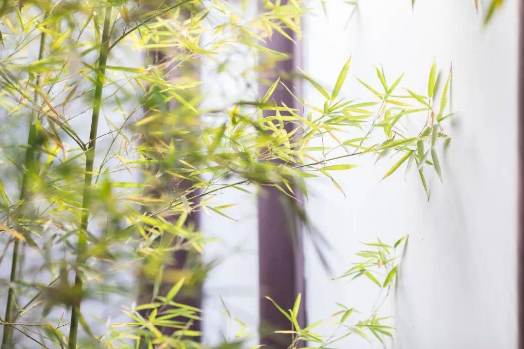 67读《唐诗三百首》,你一定要背下这100句千古名