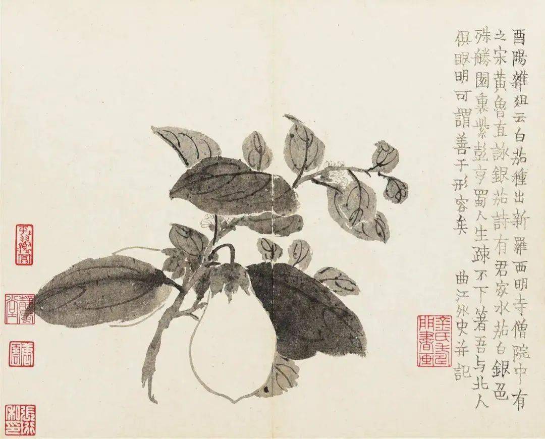 宋黄鲁直《咏银茄诗》有"君家水茄白银色,殊胜园里紫彭亨.