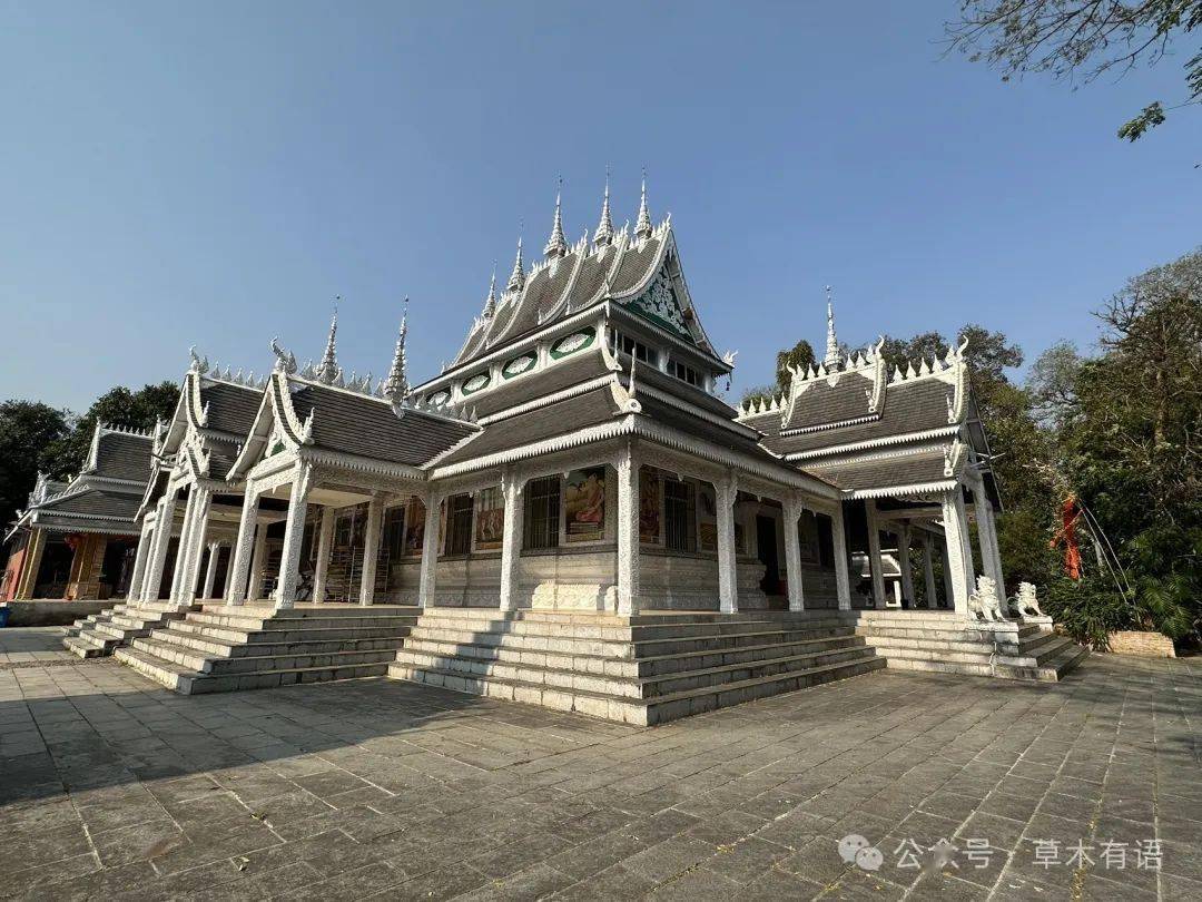 就被门口的龙行雕刻的大门吸引了,结果一休哥远程指导说是蛇神娜迦