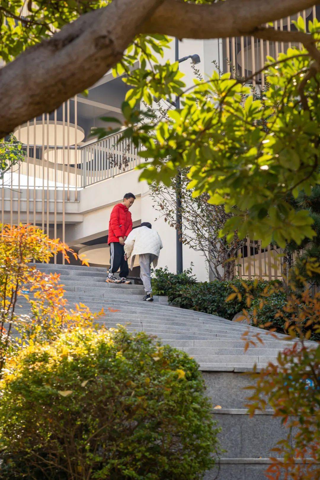新作| 在这里,追寻一片校园山谷:义乌市艺术学校新校区/浙江大学建筑