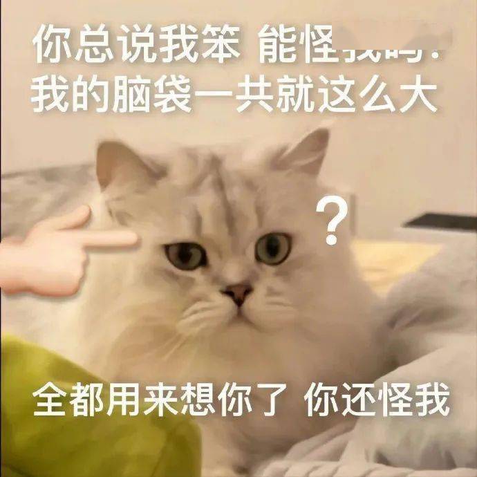 聊天搞笑表情包:可以带我一起玩吗?_公众_il_li