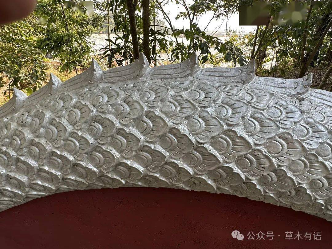 就被门口的龙行雕刻的大门吸引了,结果一休哥远程指导说是蛇神娜迦