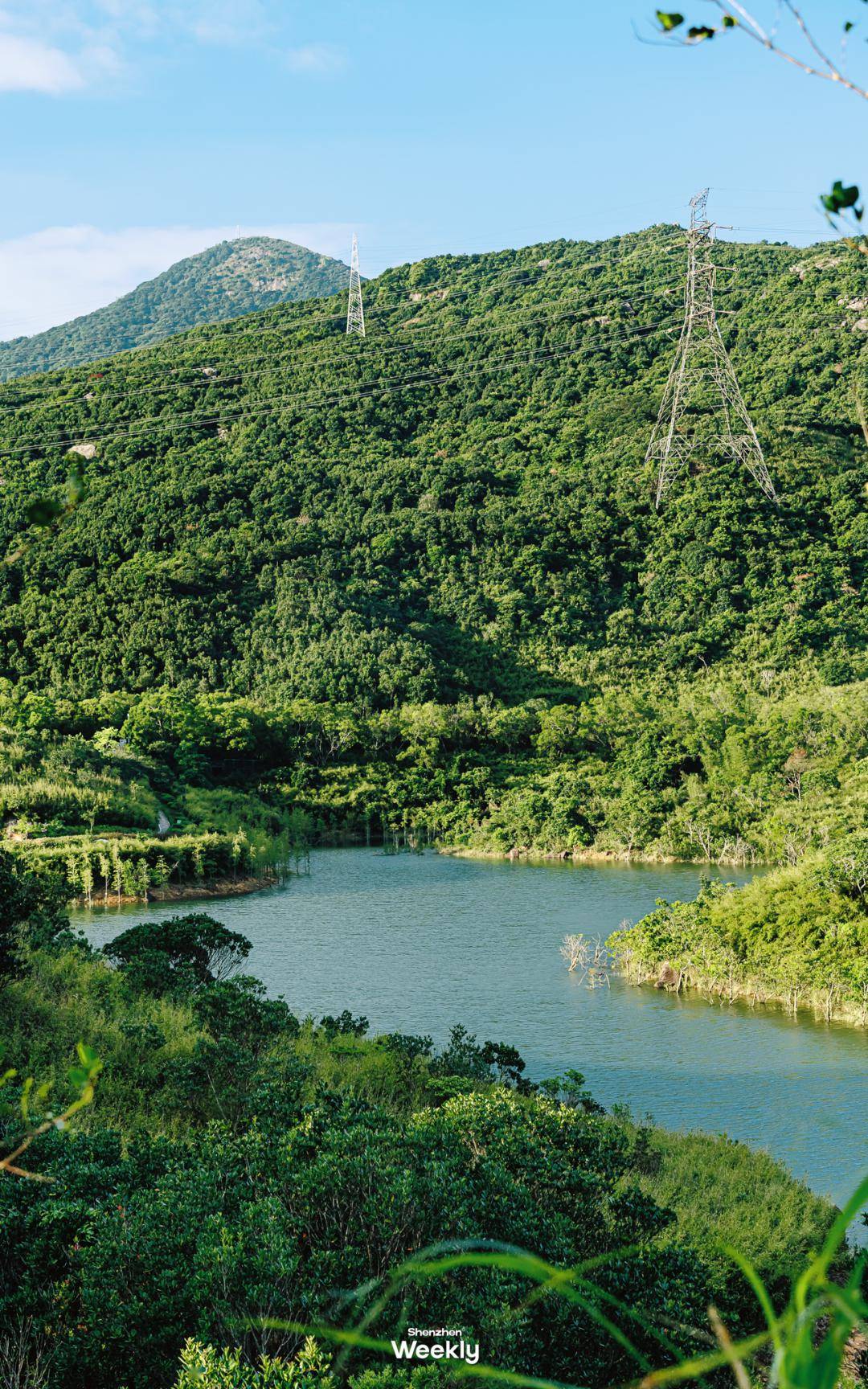 雀山岭水库图片