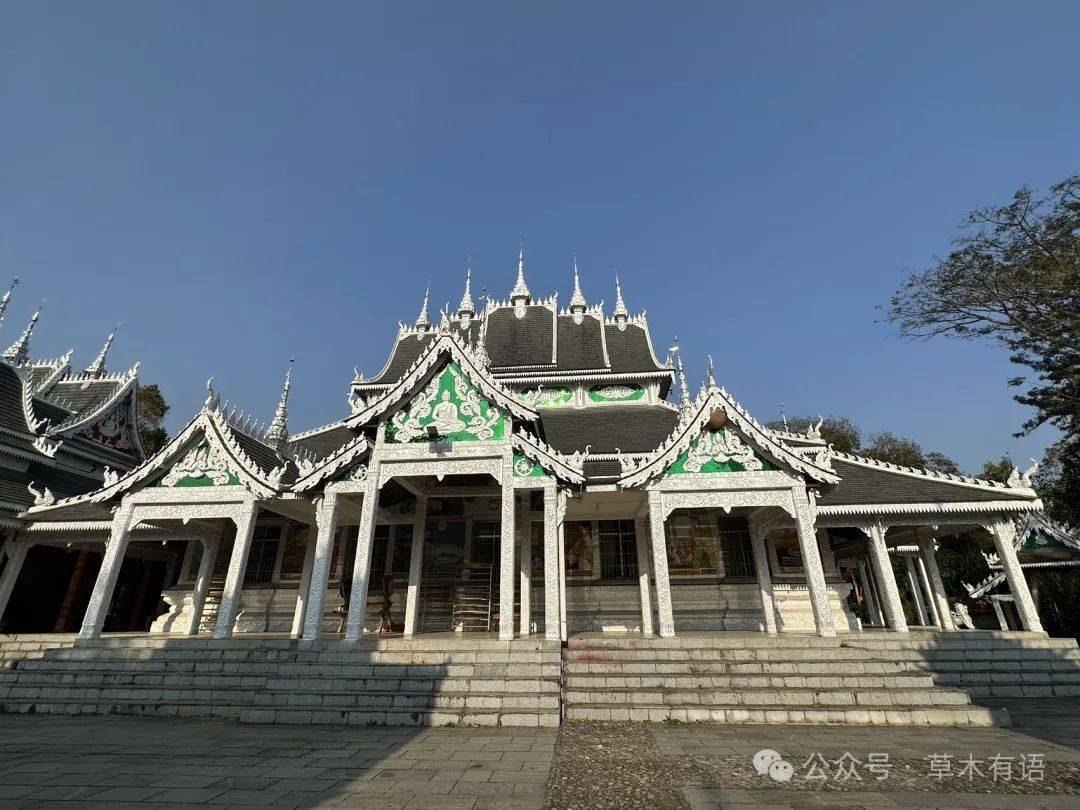 就被门口的龙行雕刻的大门吸引了,结果一休哥远程指导说是蛇神娜迦